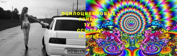 МДПВ Верея